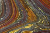 Polished Tiger Iron Stromatolite - ( Billion Years) #92960-1